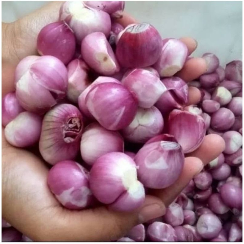 

Bawang Merah Kupas