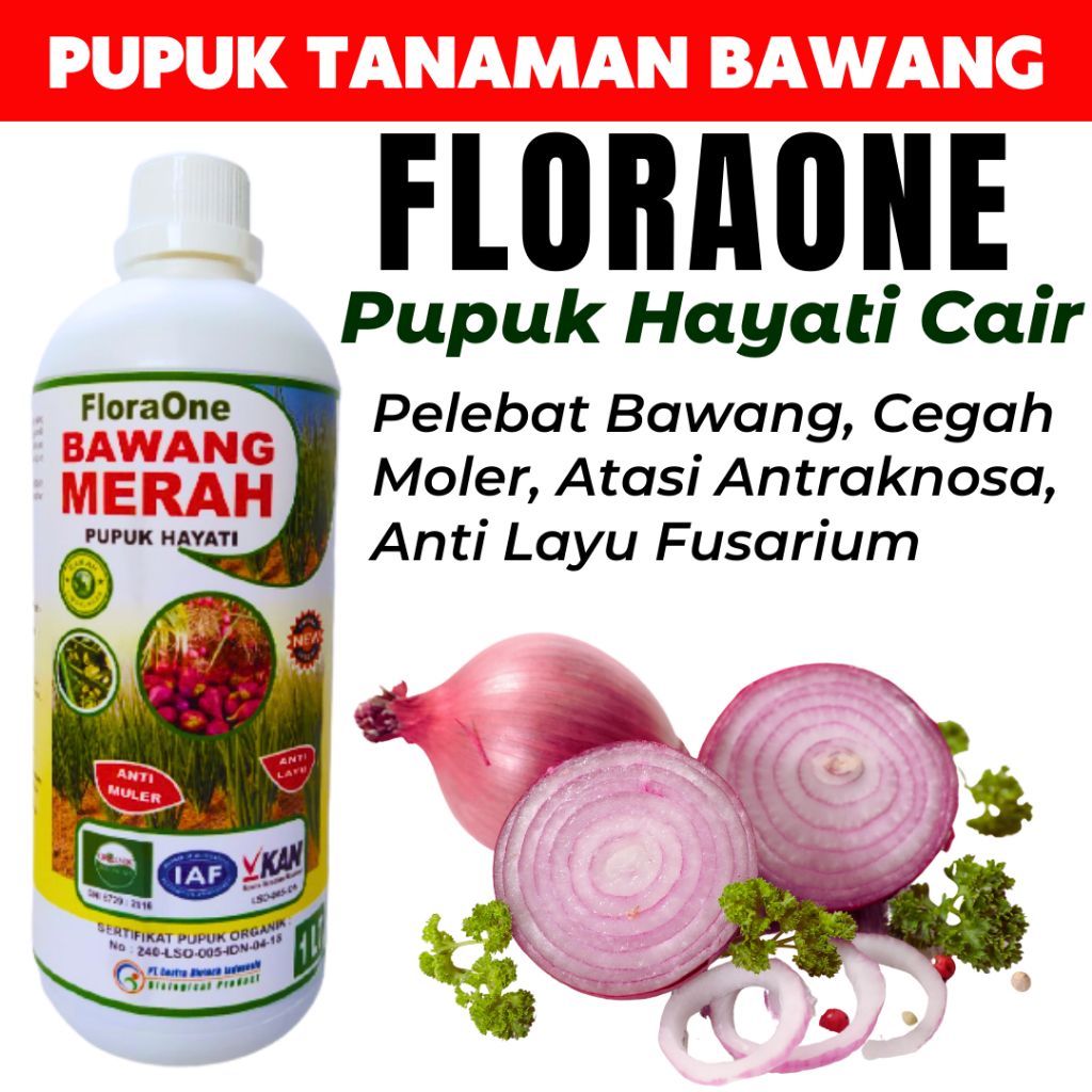 Fungisida Untuk Bibit Bawang Merah, Pupuk Alami Bawang Merah