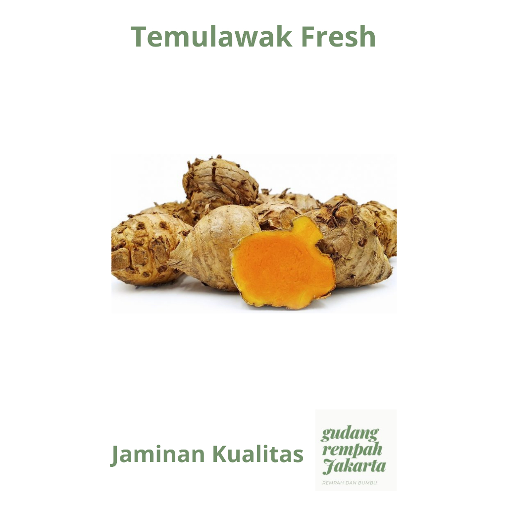 

Temulawak Fresh 500 gram Super