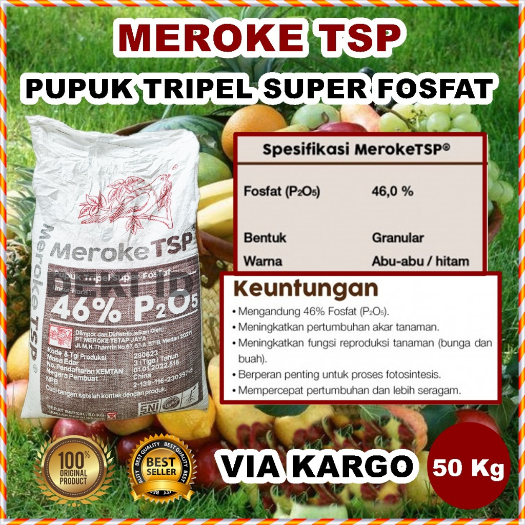 Pupuk TSP 46% Kemasan 50 Kg Sumber Fosfat Penguat Akar dan Pembenah Tanah