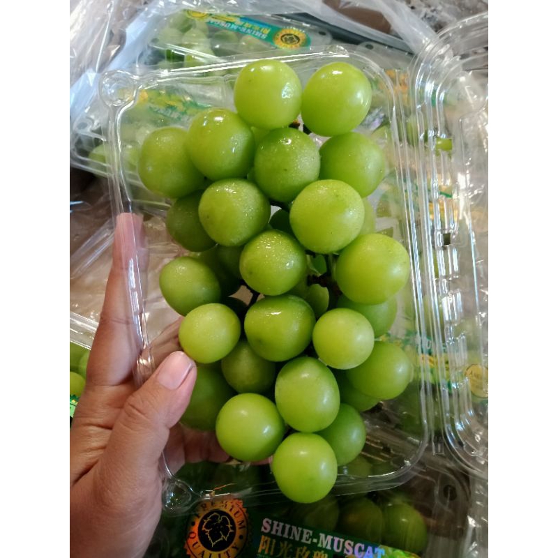 

Anggur Shine Muscat non biji