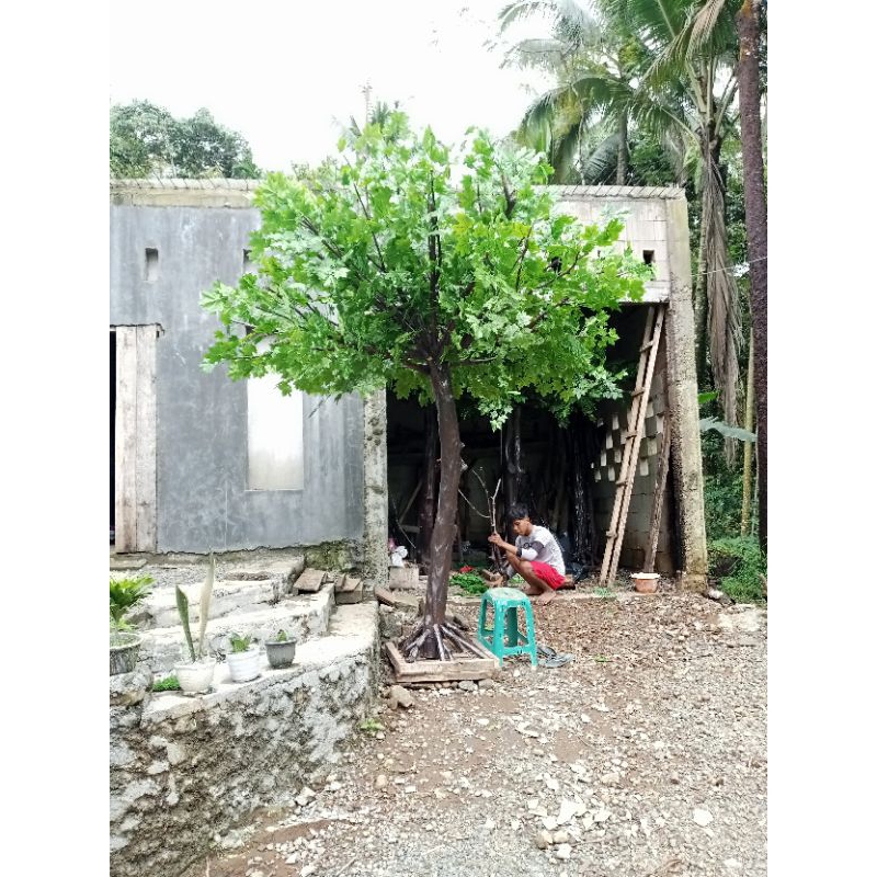 pohon maple Canada pohon dekorasi pohon artificial