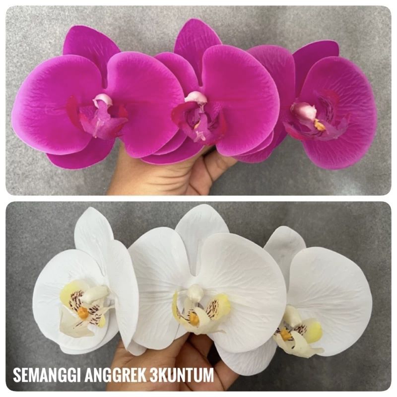 SEMANGGI ANGGREK BULAN LATEK BALI,  Jepit Anggrek Bulan Latex,  Semanggi Anggrek cattleya,  Semanggi