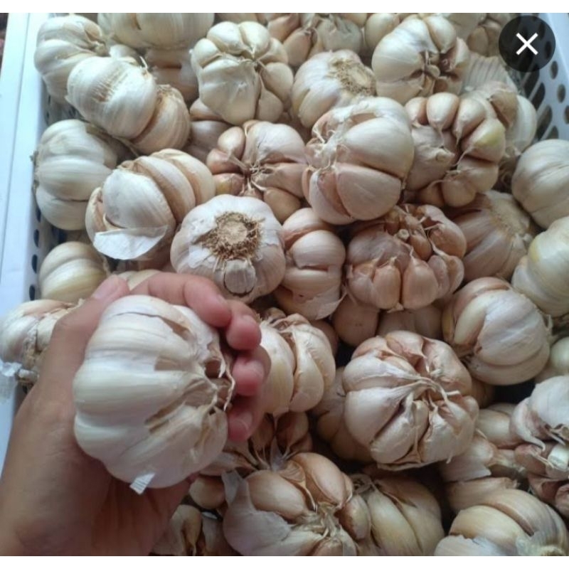 

BAWANG PUTIH ½kg-1kg