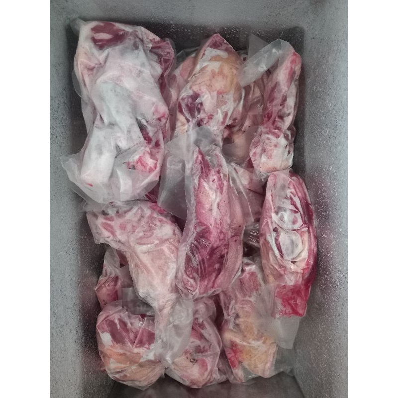 

Bebek Hibrida 1 ekor Frozen