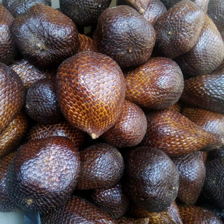 

SALAK PONDOH PREMIUM 1 KG | SALAK PONDOH PREMIUM GRADE AA 1 KG