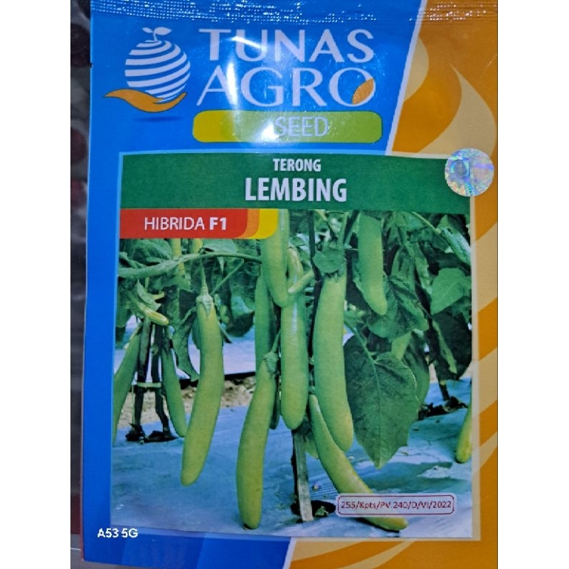 Benih Terong Hijau LEMBING Hibrida F1 Tunas Agro