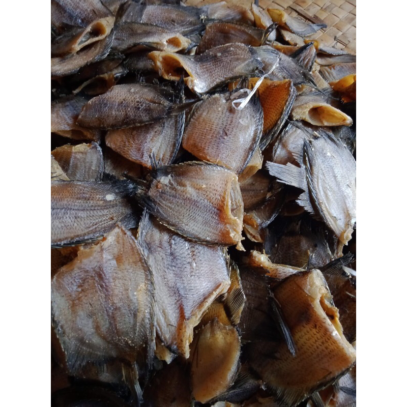 

ikan sapek serba 10rb