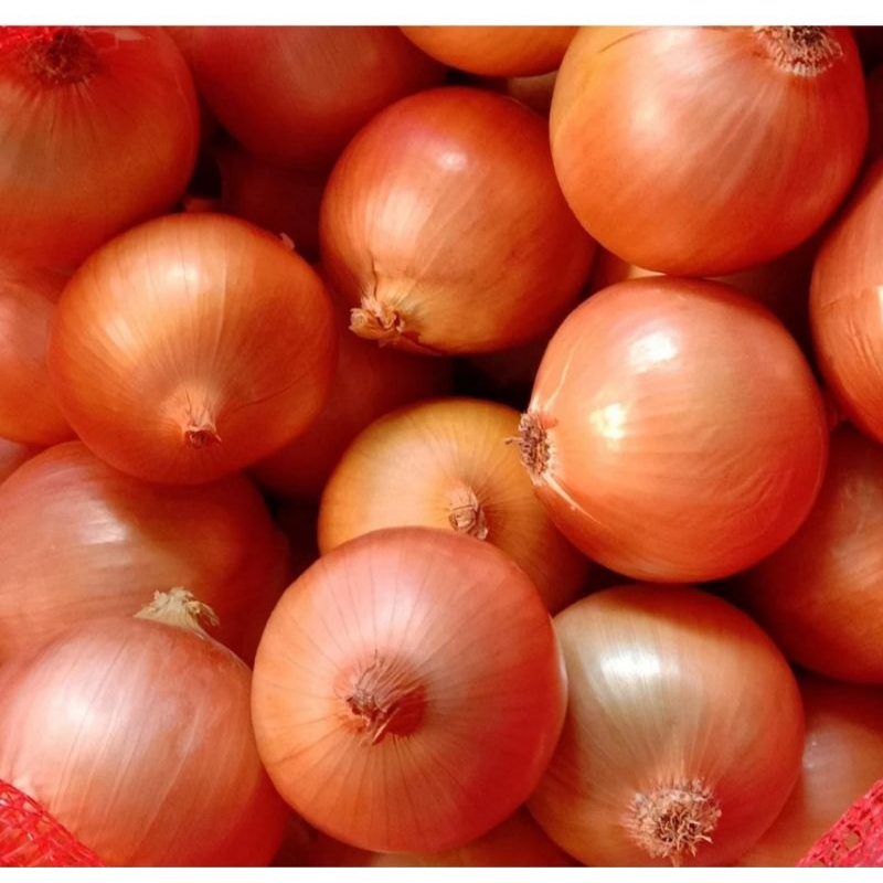 

bawang Bombay sayuran bumbu segar bandung