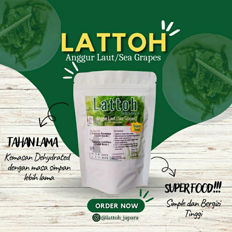 

anggur Laut umibudo latoh lat lawi lawi