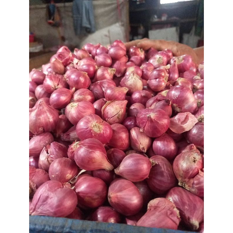 

Bawang Merah Probolinggo