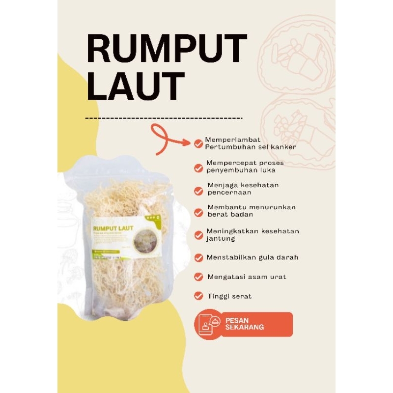 

Rumput Laut Netto 100gram || Spinosum Cottoni Rumput Laut Putih Original