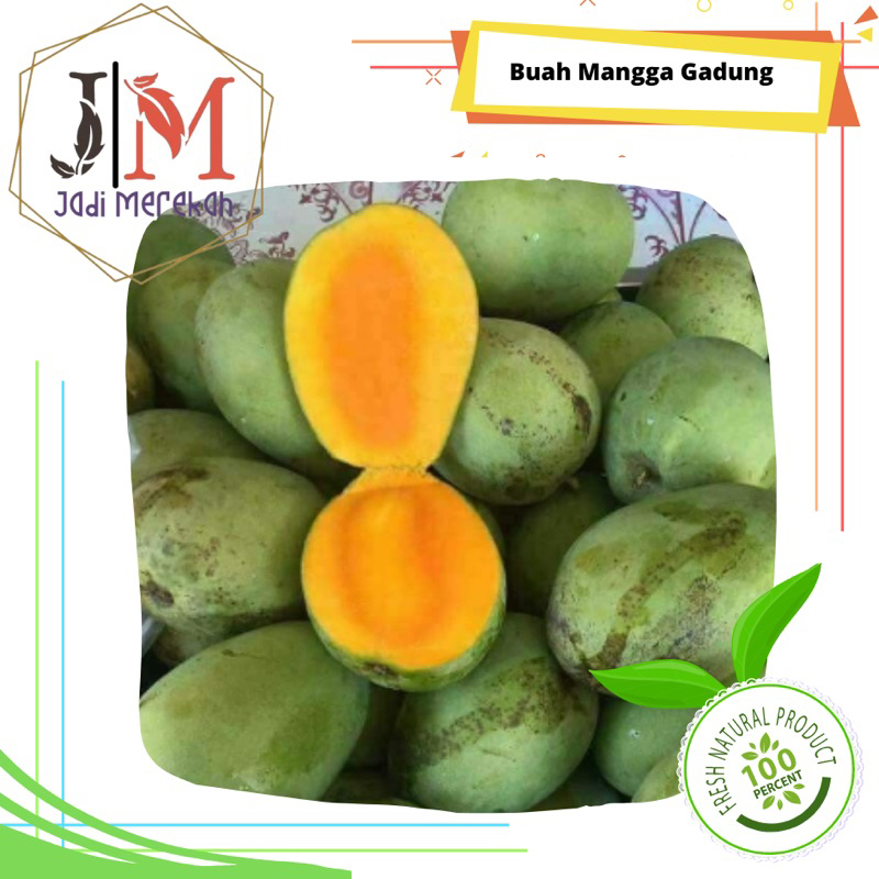 

[JM SoFresh] - Buah Mangga Gadung / Mangga Manalagi