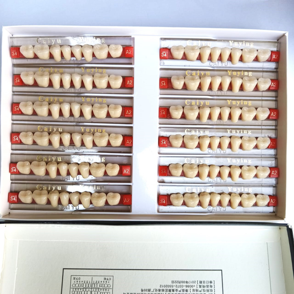 RB22 Gigi Palsu Graham Bawah 1 Box/Kotak/Pack Isi 12 Papan Caiyu/Permanen/Lepas Pasang