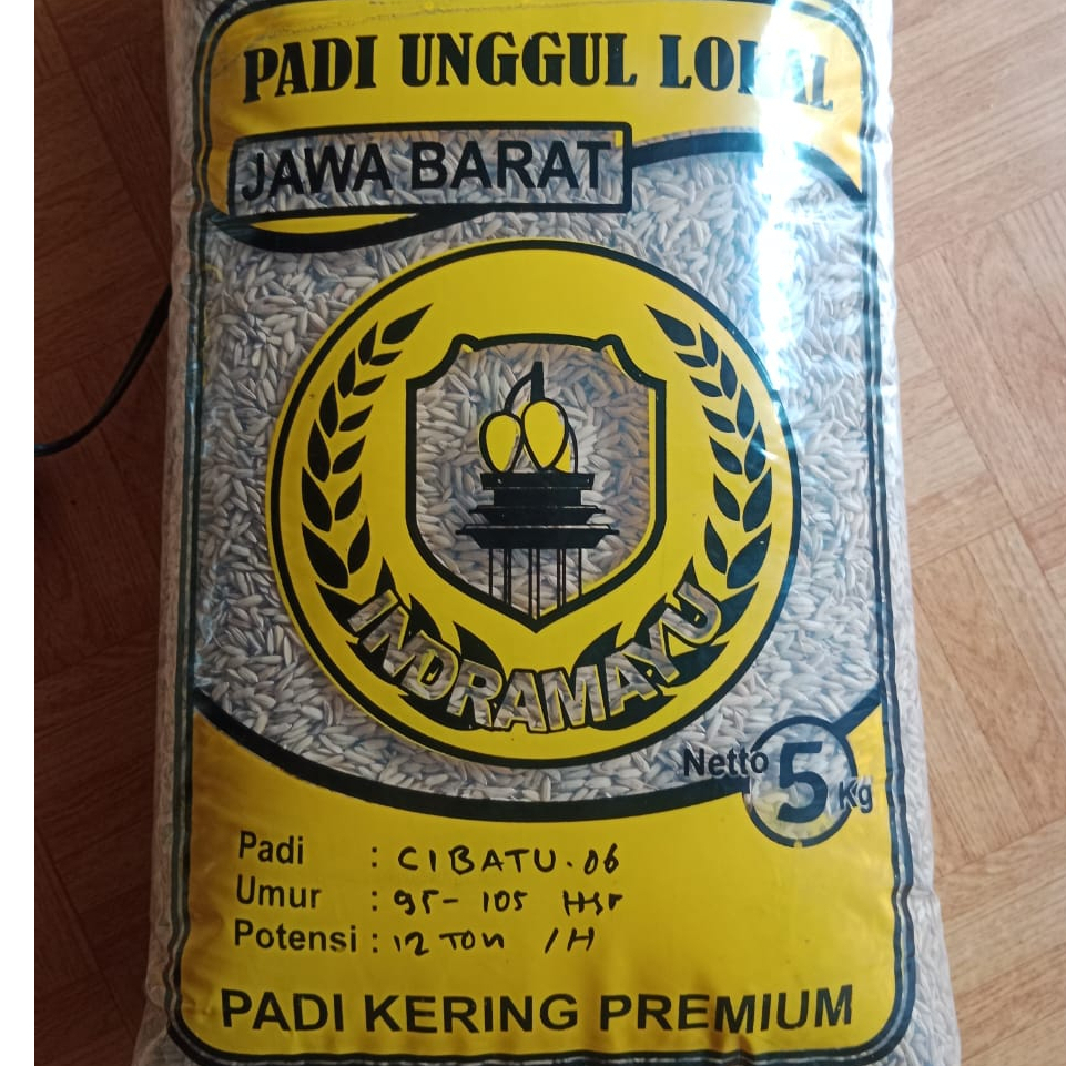 BENIH BIBIT PADI CIBATU 05 DAN CIBATU 06