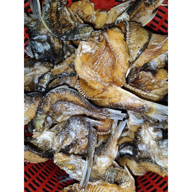 

Ikan Kapiek Balah Goreng Danau Singkarak