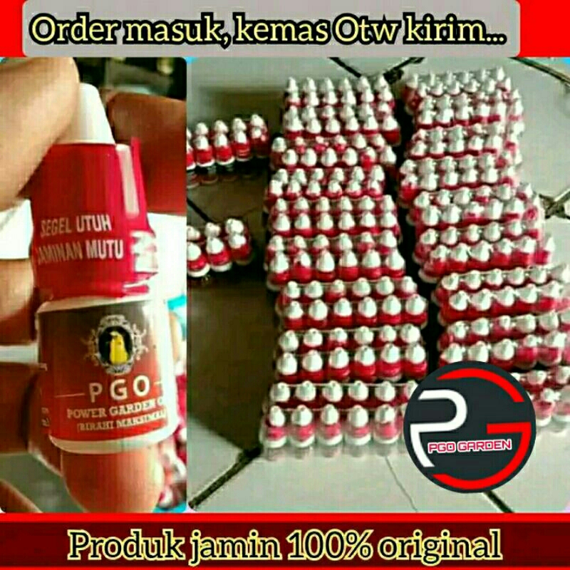 PGO VITAMIN BURUNG PLECI PGO DOPING PLECI PGO OIL