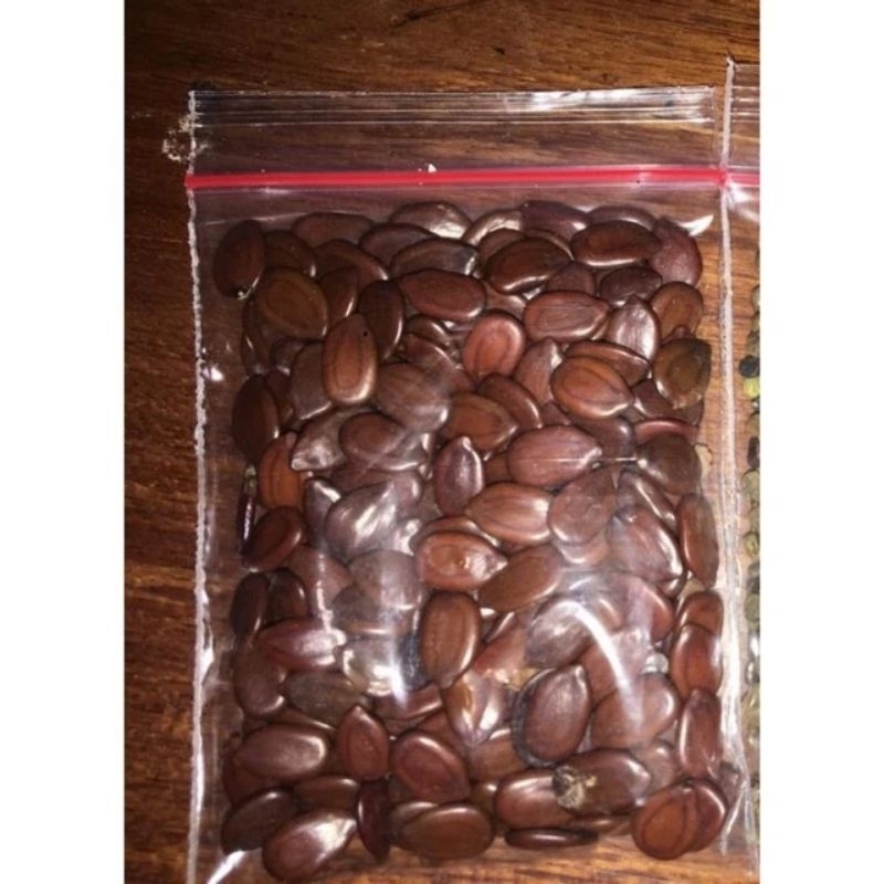 BENIH LAMTORO TARAMBA SUPER