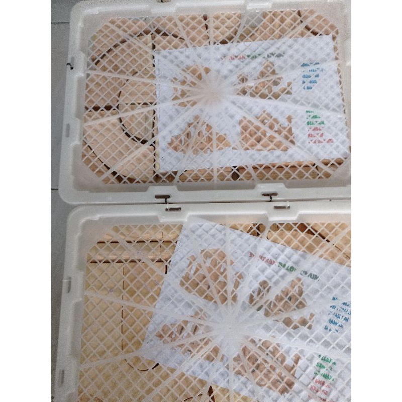 balok pdk kayu mindi