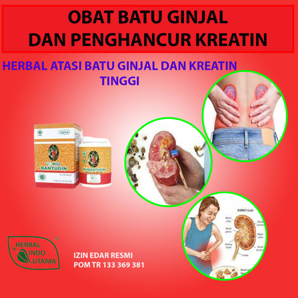 Obat Penurun Kreatin Batu Ginjal Hancur Tanpa Operasi Bantugin hu