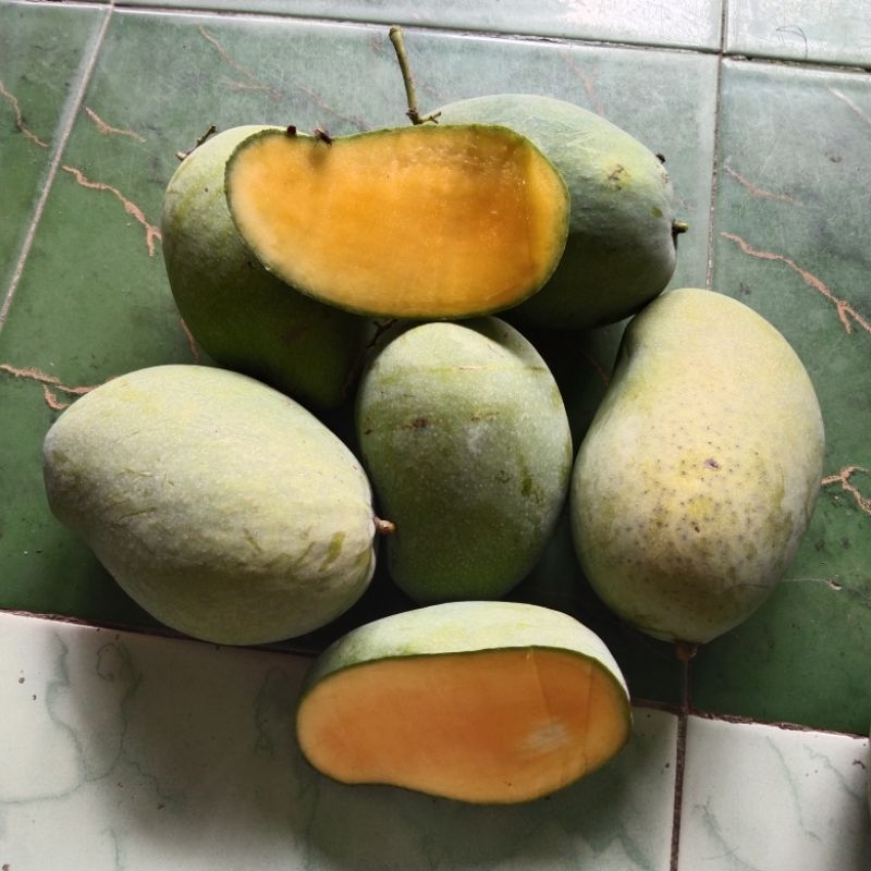 

1 kg mangga gadung/harum manis masak pohon, manis pol.