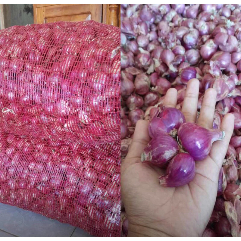 

Bawang merah