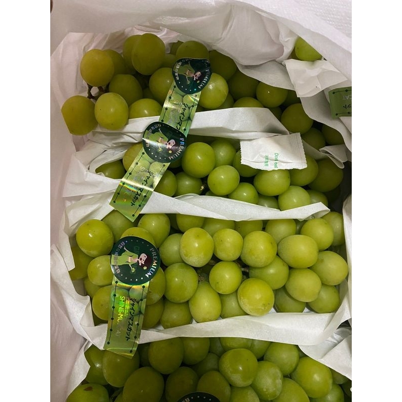

anggur muscat kiloan|anggur muscat hijau|anggur muscat|non biji|buah segar bandung