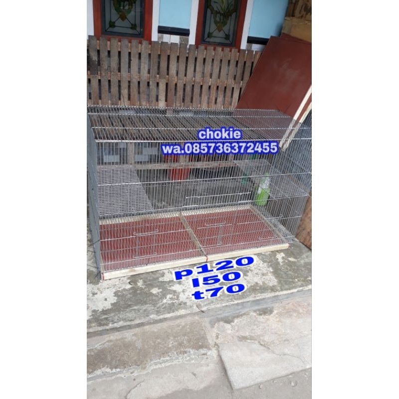 KANDANG iguana