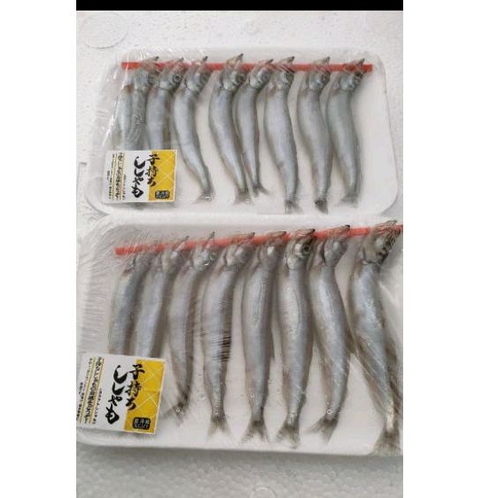 

Shisamo fish / ikan shisamo / ikan capelin