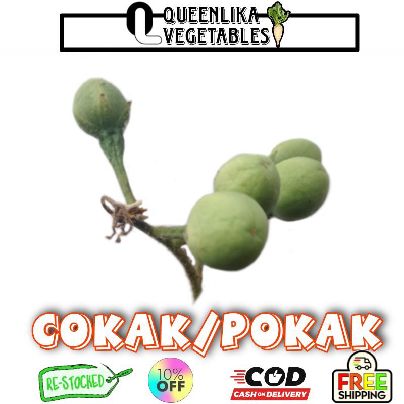 

takokak/buah rimbang/pokak terong cepokak 250g