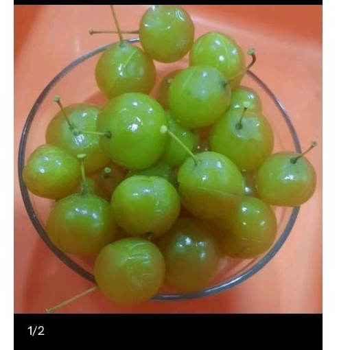 

Manisan Anggur Bogor