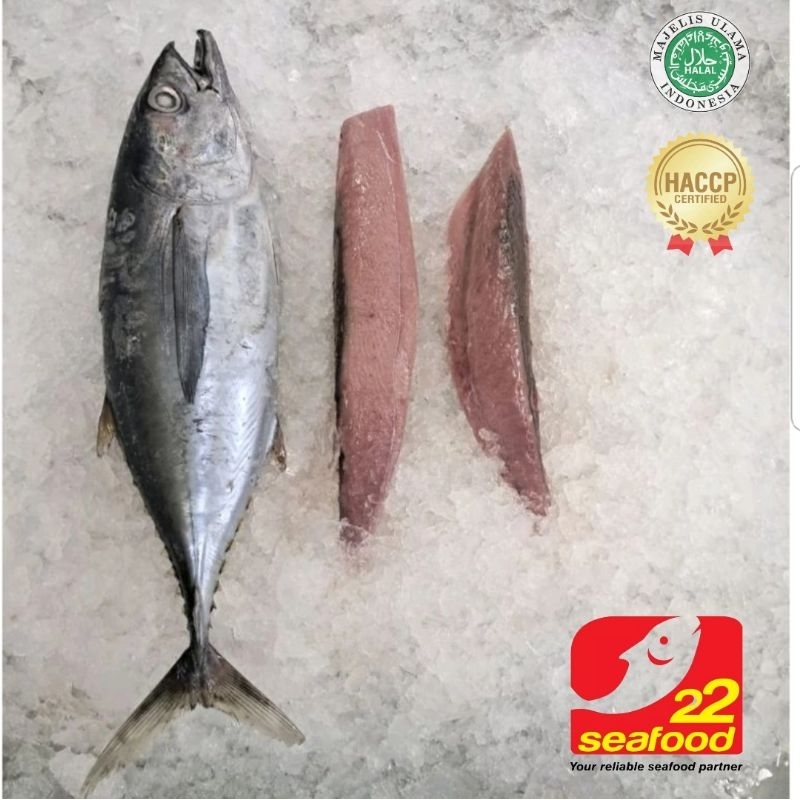 

Ikan Baby Tuna Fillet 500 gr / Seafood 22