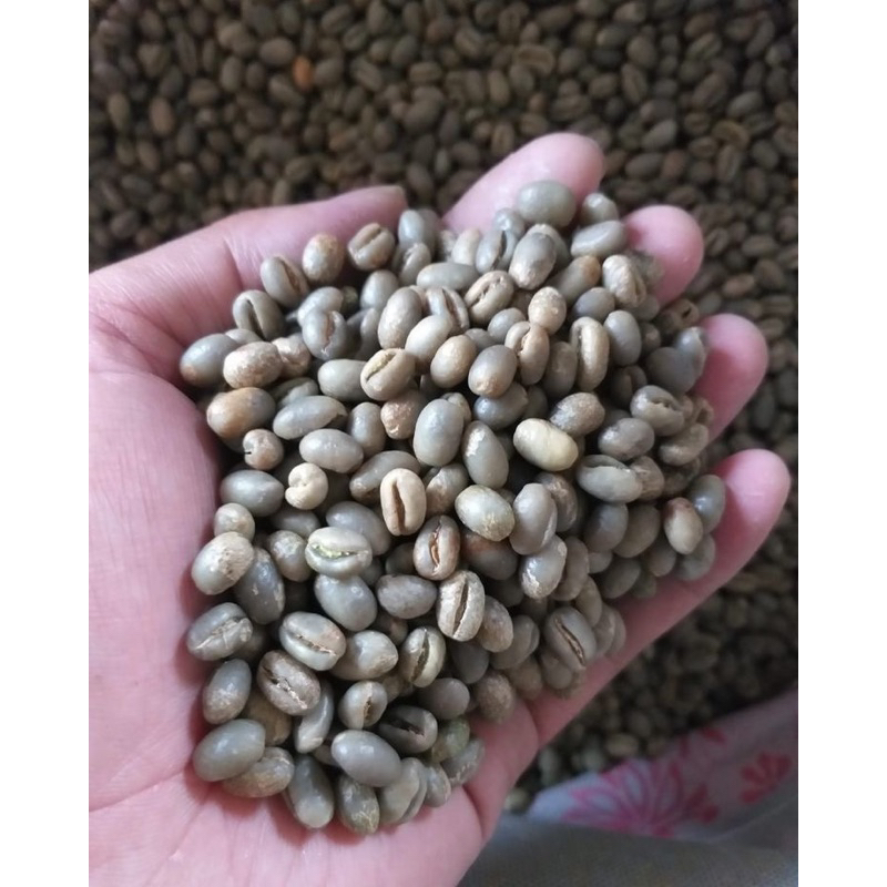 

Biji Kopi Kualitas Terbaik