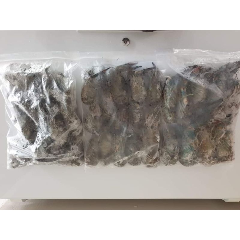 

Lobster Frozen Grade A