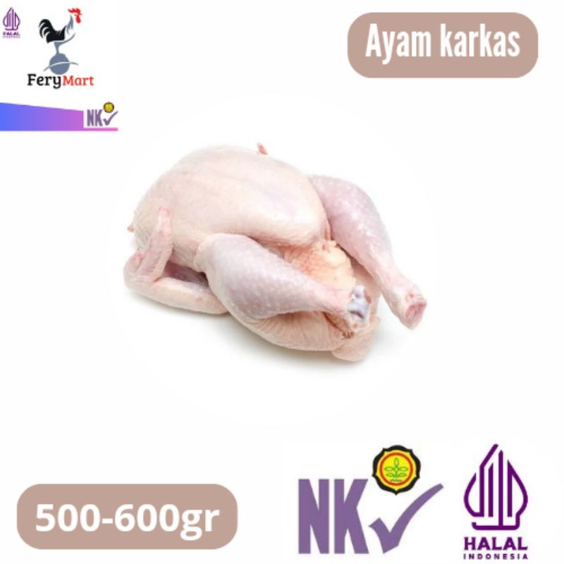 

Ayam Karkas Broiler 500-600gr Ayam Karkas Frozen
