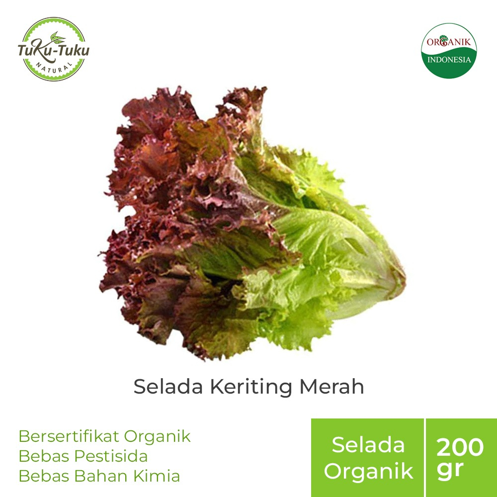 

PAY 2 GET 3 SELADA KERITING MERAH ORGANIK BSP FARM 200GR