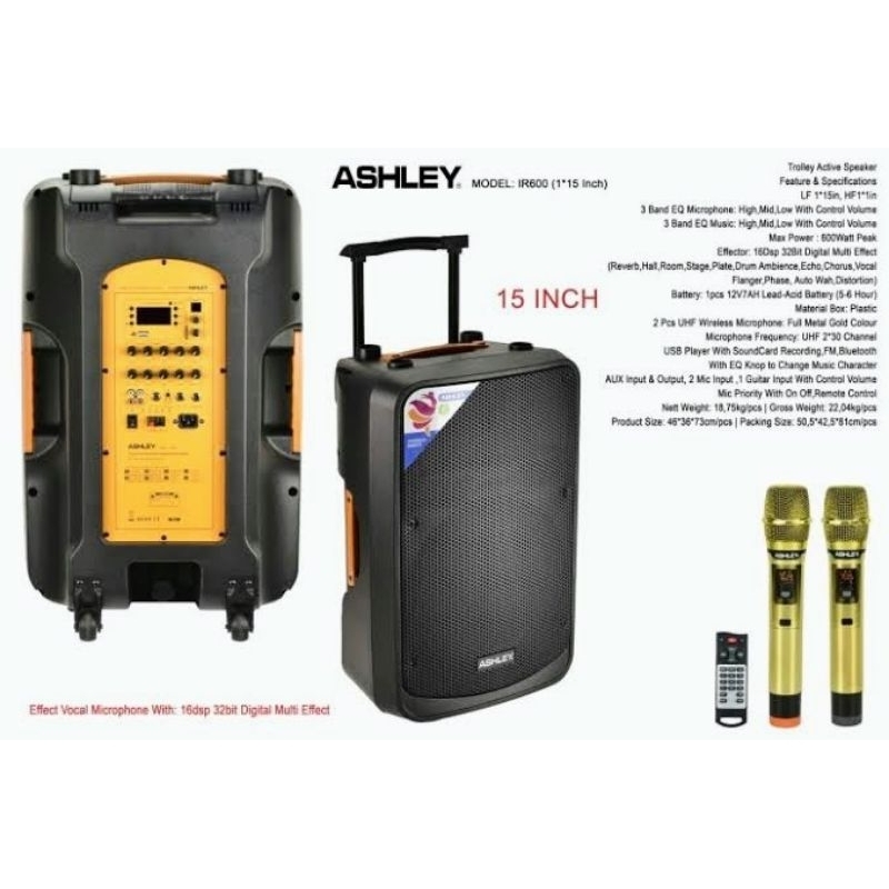 SPEAKER FORTABLE WIRELESS IR600 SPEAKER ASHLEY 15 INCH IR-600 (1*15)