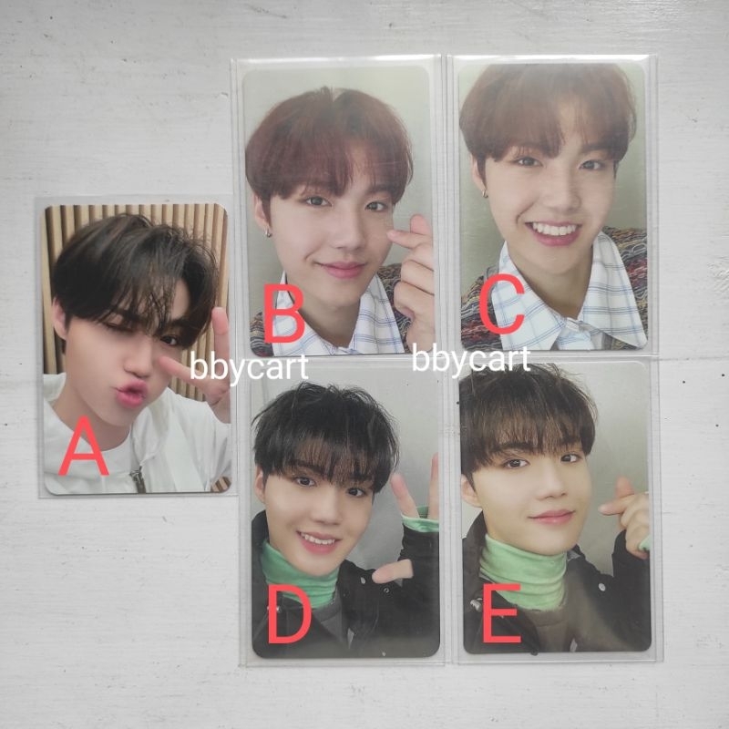 Photocard PC DOYOUNG DOBBY TREASURE Makestar MS 2.0 Pout Noot Noot FA Full Album Everline Maung Digi
