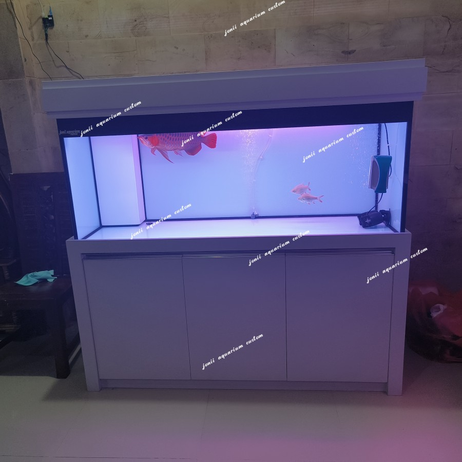aquarium kabinet 150x60x60 &amp; ikan arwana SR merah merona size 45cm