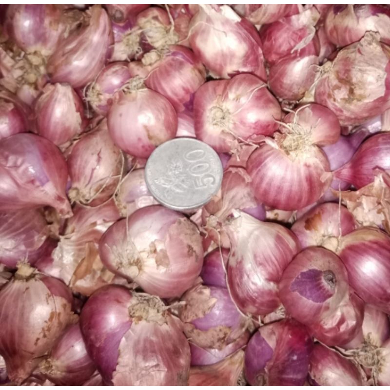 

BAWANG MERAH LOKAL 500 GRAM