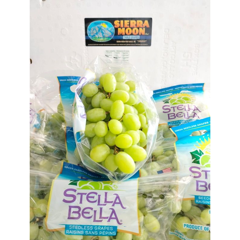

Anggur Stella Bella USA / kg