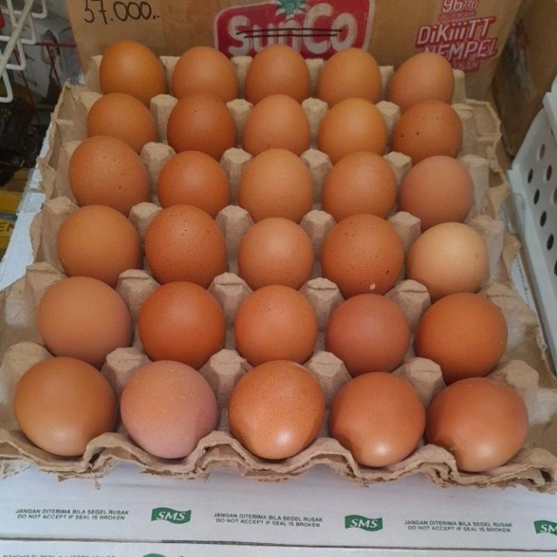 

TELOR AYAM NEGERI 1PAPAN 30 BUTIR