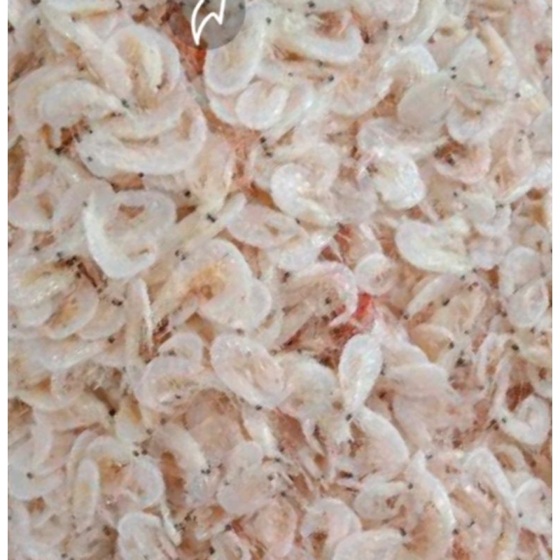 

Udang rebon (kecepe) 100 gr