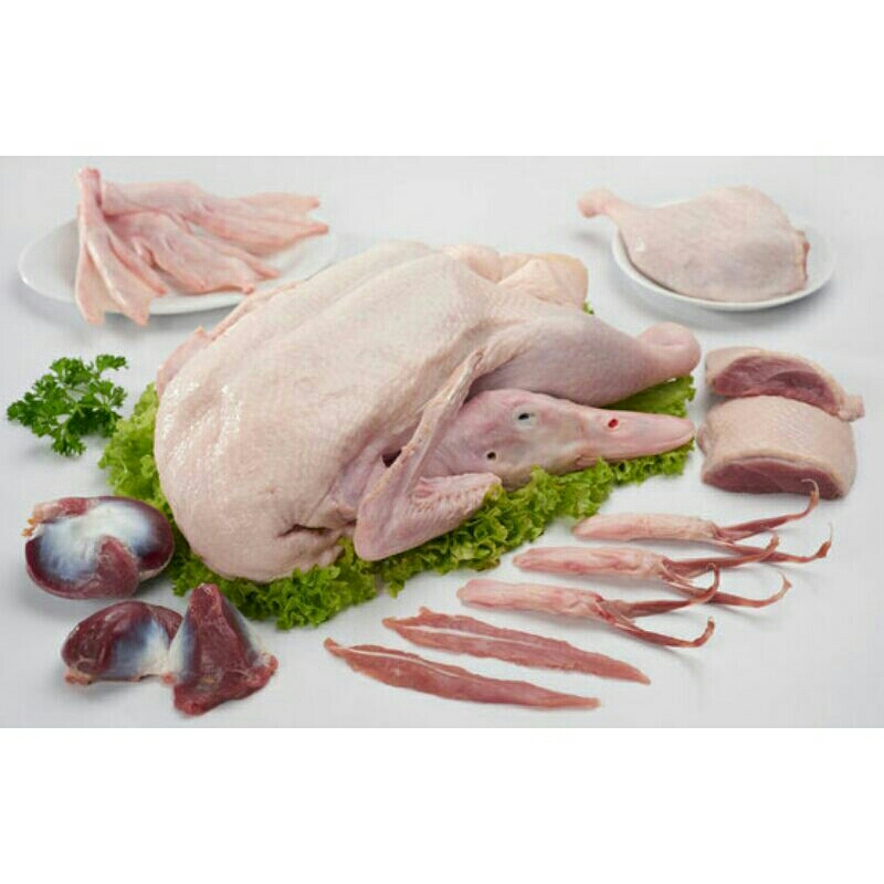 

daging entok fress siap masak 1,3 kg (berat hidup)