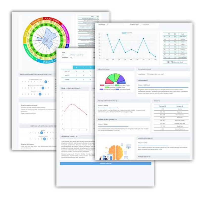 SOFTWARE PSIKOTES DISC, PAPIKOSTICK, KRAEPELIN, MSDT, IST.