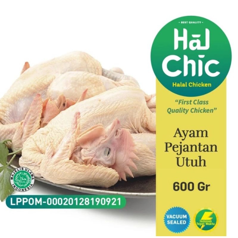 

Ayam Pejantan 600 - 800 Gram Halchic