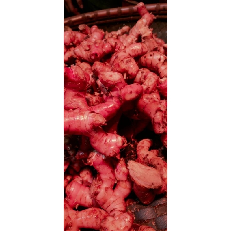 lengkuas laja 1kg