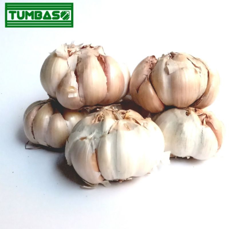 

Tumbaso Bawang Putih 500 gr