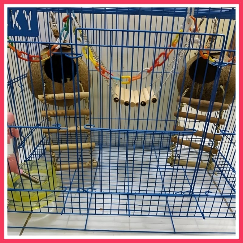 RANTAI PLASTIK 50 CM MAINAN PANJAT SUGARGLIDER &amp; BURUNG - AKSESORIS KANDANG