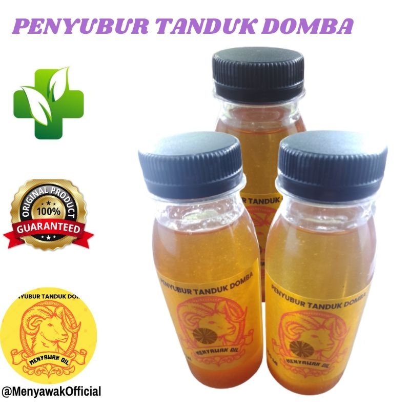 Perangsang Tanduk domba Garut